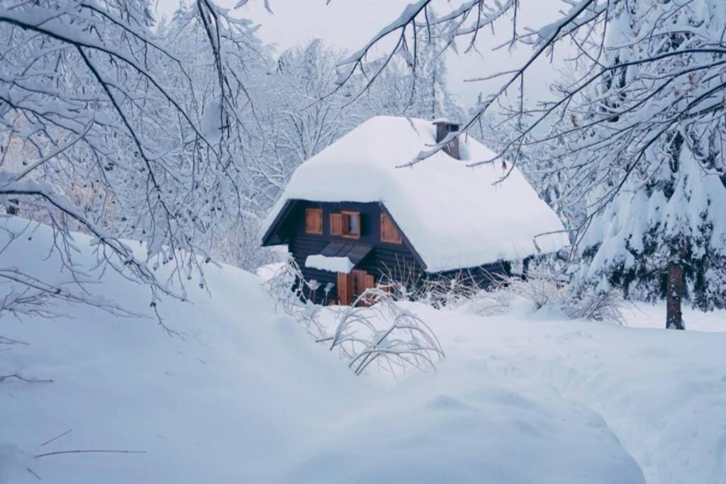 Cottage In The Woods - Lake Bohinj Εξωτερικό φωτογραφία